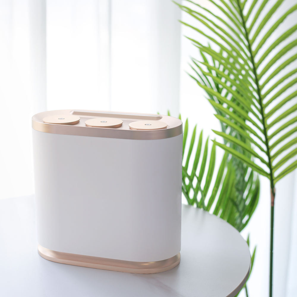 Smart Home Market - Pemasaran Aroma Label Pribadi Khusus untuk